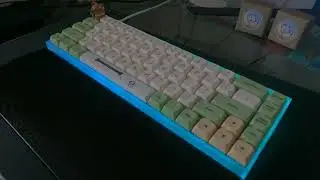 Zilent V2 Switches