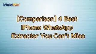 [Comparison] 4 Best iPhone WhatsApp Extractor You Can't Miss