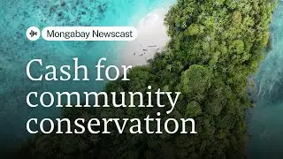 Cash for community-led conservation is tight, but this nonprofit unlocks it