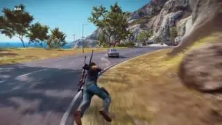 Animals driving cars