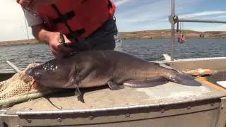 A Warmwater Fisheries Survey of Sprague Lake