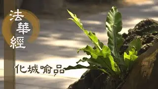 【靜思妙蓮華】法華經化城喻品 - 法子傳燈續法脈 - 20220218 第1093集
