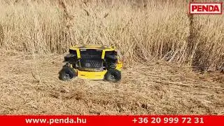 SPIDER 2SGS EFI t&aacute;vvez&eacute;relt fűny&iacute;r&oacute;