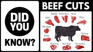 Inilah Istilah Potongan Daging Dalam Bahasa Indonesia!