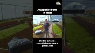 Aquaponics Farm in Texas