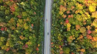 Canada Travel 4K Drone - Ontario - Algonquin Park - Mew Lake