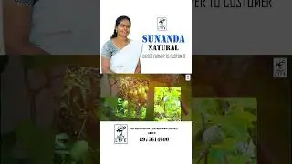 Organic Farming By Farmer Sunanda | #keylife #vegetablefarming #farming #agriculture #businessideas