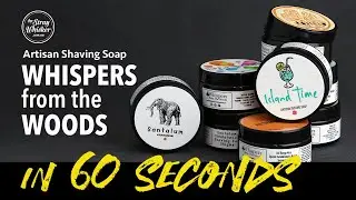 Whispers from the Woods in 60 Seconds | Stray Whisker TV