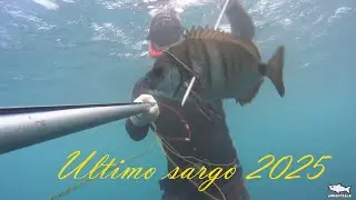 Pesca Submarina 