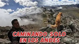 Caminando con mi Perro, 🐕🐶 Solo en los Andes del Per&uacute;, 5000 msnm. 
