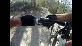Tassie's North South Track MTB Decent