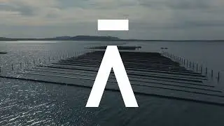 Australia Coffin Bay Oyster Farm | Avant Seafood Marketplace