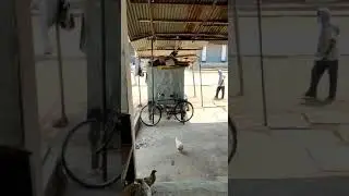 lockdown bihar