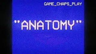 Game Chaps Play Anatomy