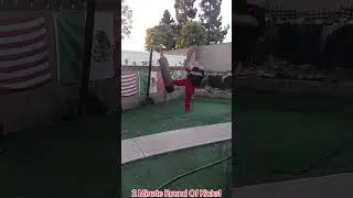 2 Minute Round Of Kicks on repaired 150 Pound Banana Bag!