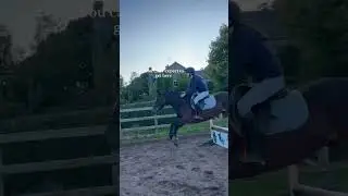 Sad but true :( #horse #horseriding #horsebackriding #equestrian #horsegalloping