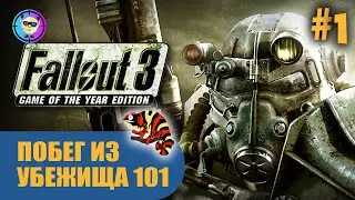 Радиоактивные тараканы! #1 Fallout 3 GOTY