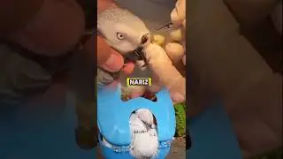 Doctor Removes Big Dirt from Parrot&rsquo;s Nose 🦜👏#ThankYouDoctor