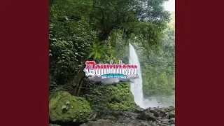 Pristine Escapes: Unexplored Rainforest Trails