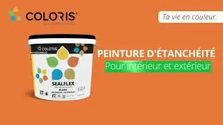 SEALFLEX : Peinture d'&eacute;tanch&eacute;it&eacute; pour ext&eacute;rieur et int&eacute;rieur