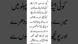 Mirza ghalib #shayxrahmatullohtermiziy #qashqirlarmakonipistirma #aicover #music #korean #poetry