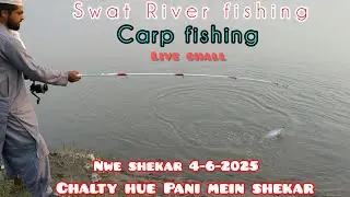 Carp fish catching in swat River fishing ll rud fishing chaina fishing videos 🎣🎣👍nwe shekar