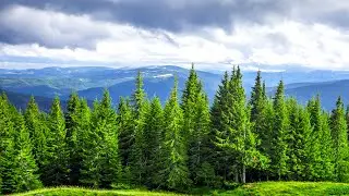 2Hours Relaxing Piano Music, Beautiful Piano music, Piano Music In Store, Newage Piano Music 🎹