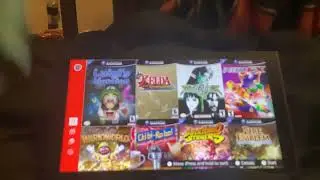 I got the best GameCube model of all time