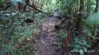 Piper Comanche PlaneWreck D'aguilar National Park #antscarnage #Best hiking Brisbane #Plane Wrecks
