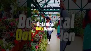 Botanical Garden in Ooty, Garden goals 🌼#orchidworld #indianbotanicgarden #sivakumarpilli #ootytrip