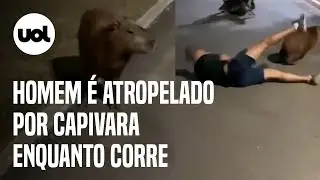 Homem &eacute; 'atropelado' por capivara e cai no ch&atilde;o ao correr em pista em Cuiab&aacute;; v&iacute;deo mostra o momento