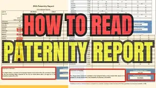 How to Read Your Paternity Test Report | DNA Test Report |