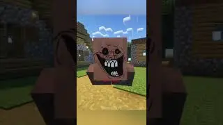 Minecraft Meme
