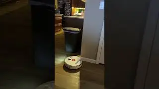 This robot never stops cleaning #SmartHome #Automation