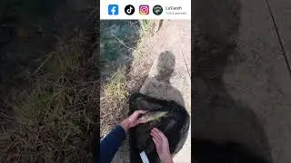 Jolie truite prise au deuxi&egrave;me lanc&eacute; de la session !