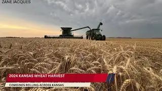 2024 Kansas Wheat Harvest