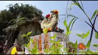 Vivega school pongal celebration : vivega school viralimalai