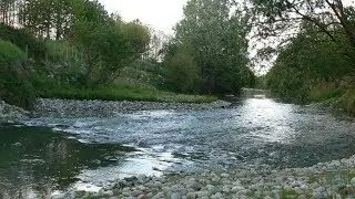 Les milieux de Balma