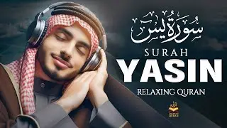 Surah Yaseen (سورة يس) | Quran Recitation for Deep Sleep, Protection & Inner Peace | #surahyaseen