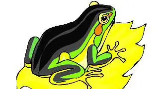 EL SONIDO DE UNA RANA CROANDO )))))))TE ANIMAS A ESCUCHARLA??