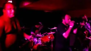 R&oacute;zsasz&iacute;n Pittbull - Hitv&aacute;ny celebek