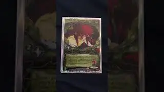 Yu Yu Hakusho TCG - Top 10 Most Expensive Cards in the game