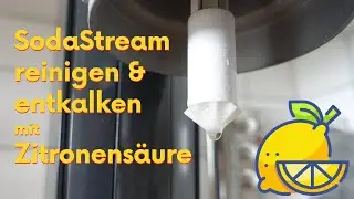 SodaStream reinigen & entkalken | Mit Zitronens&auml;ure gegen Keime & Kalk