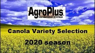 Canola Variety Selection options.