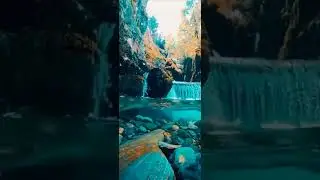 Overflowing Stream | Live Wallpapers