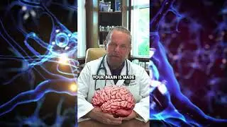 Don't Fear Nature's Perfect Brain Food