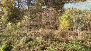 A Quiet Train Ride from Berlin to Prague - Part 1.