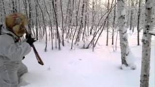 Маневр на лунку с тетеревом