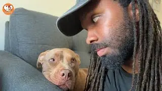 When People Feared His Dog, He Built a Safe Space Instead