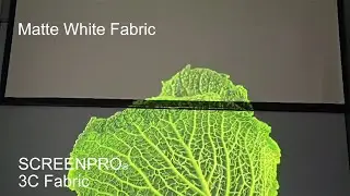 SCREENPRO 3C vs Matte White Projection Screen